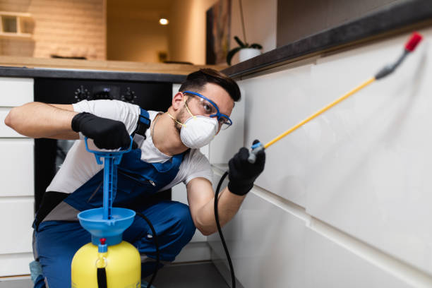Pest Prevention Services in Eleele, HI
