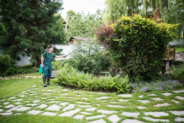 Best Commercial Pest Control Services  in Eleele, HI
