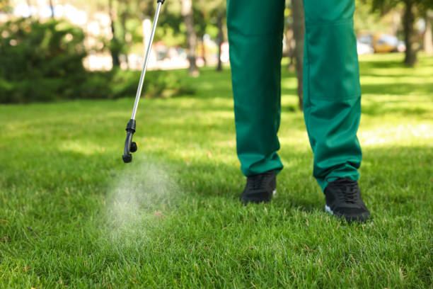 Best Affordable Pest Control Services  in Eleele, HI