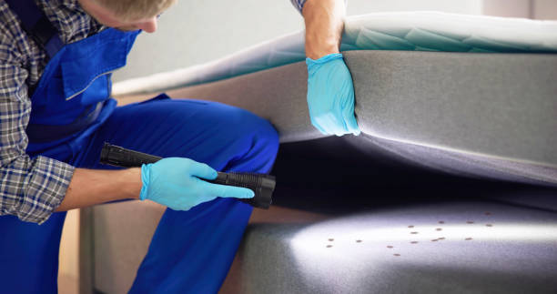 Best Local Pest Control Services  in Eleele, HI