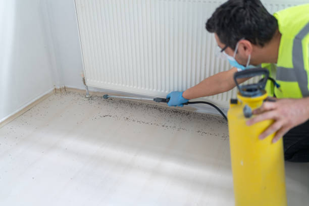 Best Residential Pest Control  in Eleele, HI