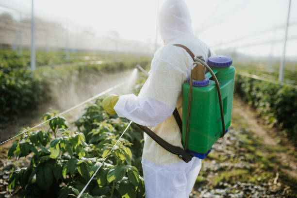 Best Pest Inspection Near Me  in Eleele, HI